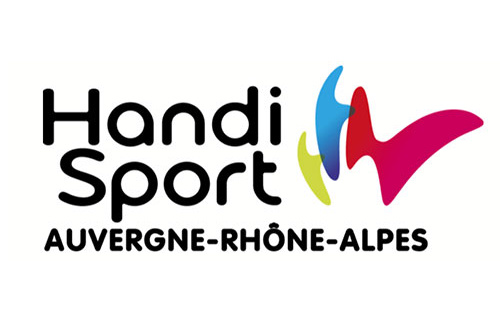 logo-HANDISPORT Partenariat avec la Ligue handisport